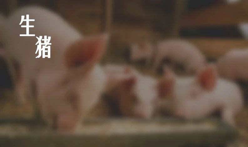 中国生猪产业发展与投资研究报告（2024-2025）